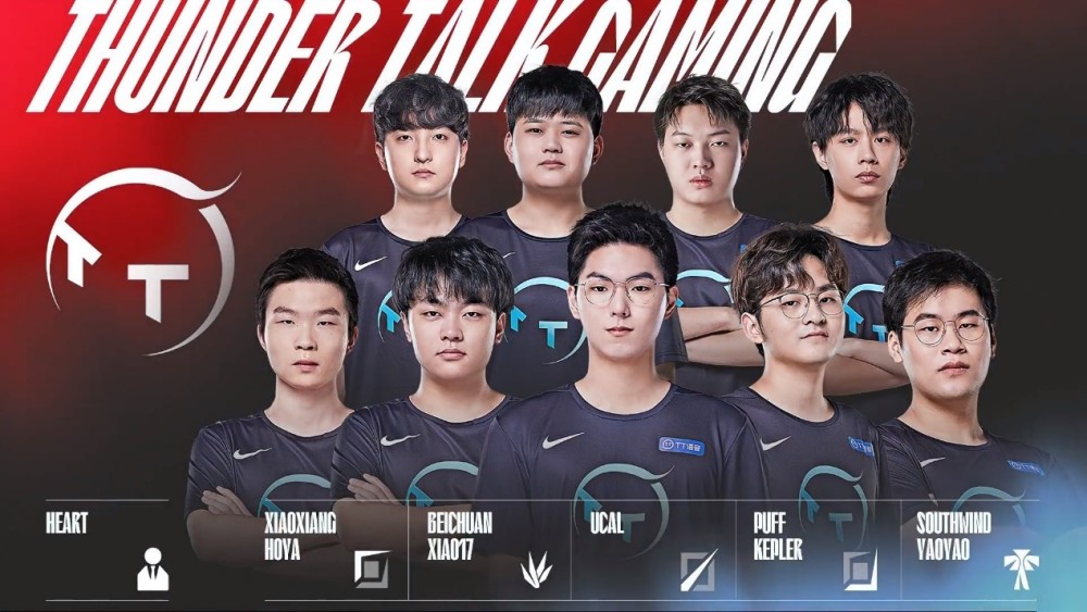 也突显了网 也突显了网